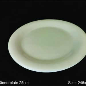 Dinner Plate