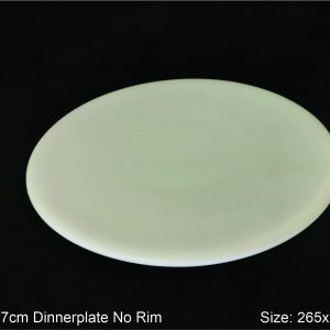 Dinner Plate No Rim