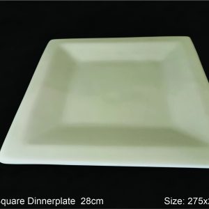 Square Dinner Plate